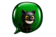 El Gato del Día